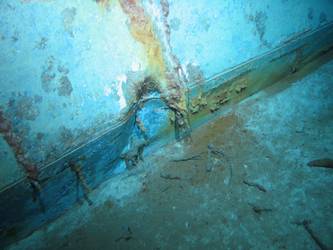 Stbd side of ship's inverted bow